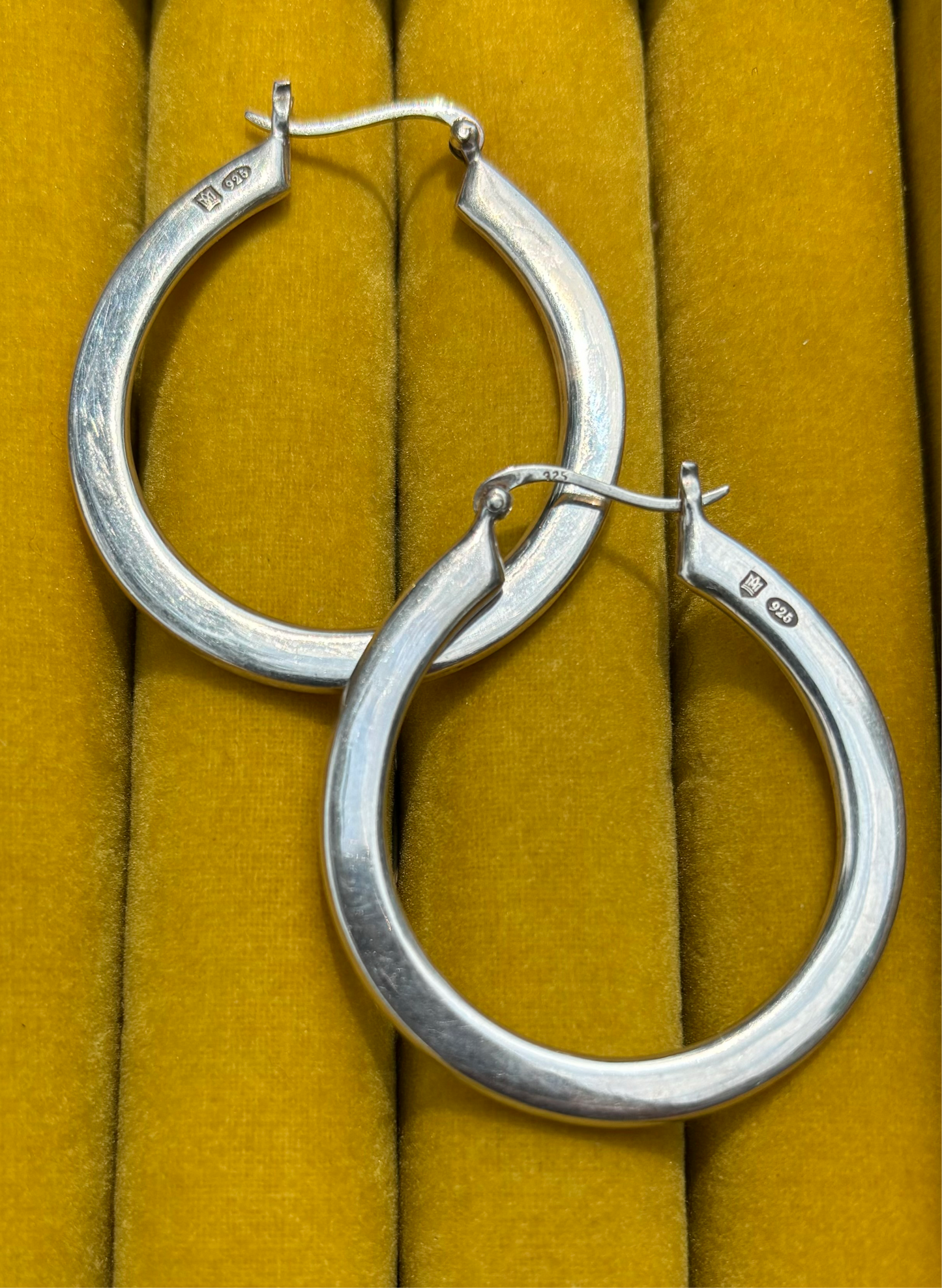 Horseshoe Hoops!