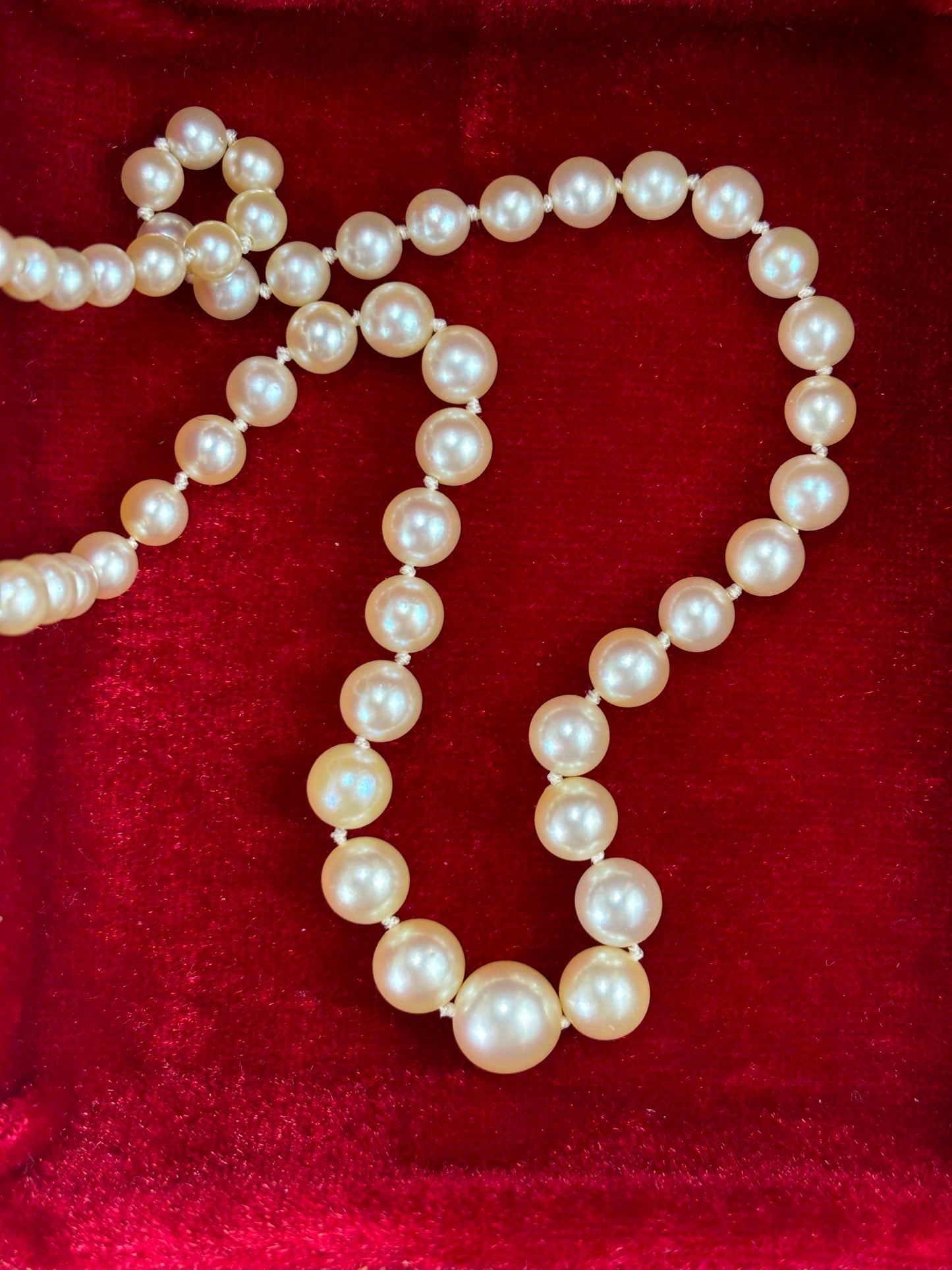 Mikimoto Pearls