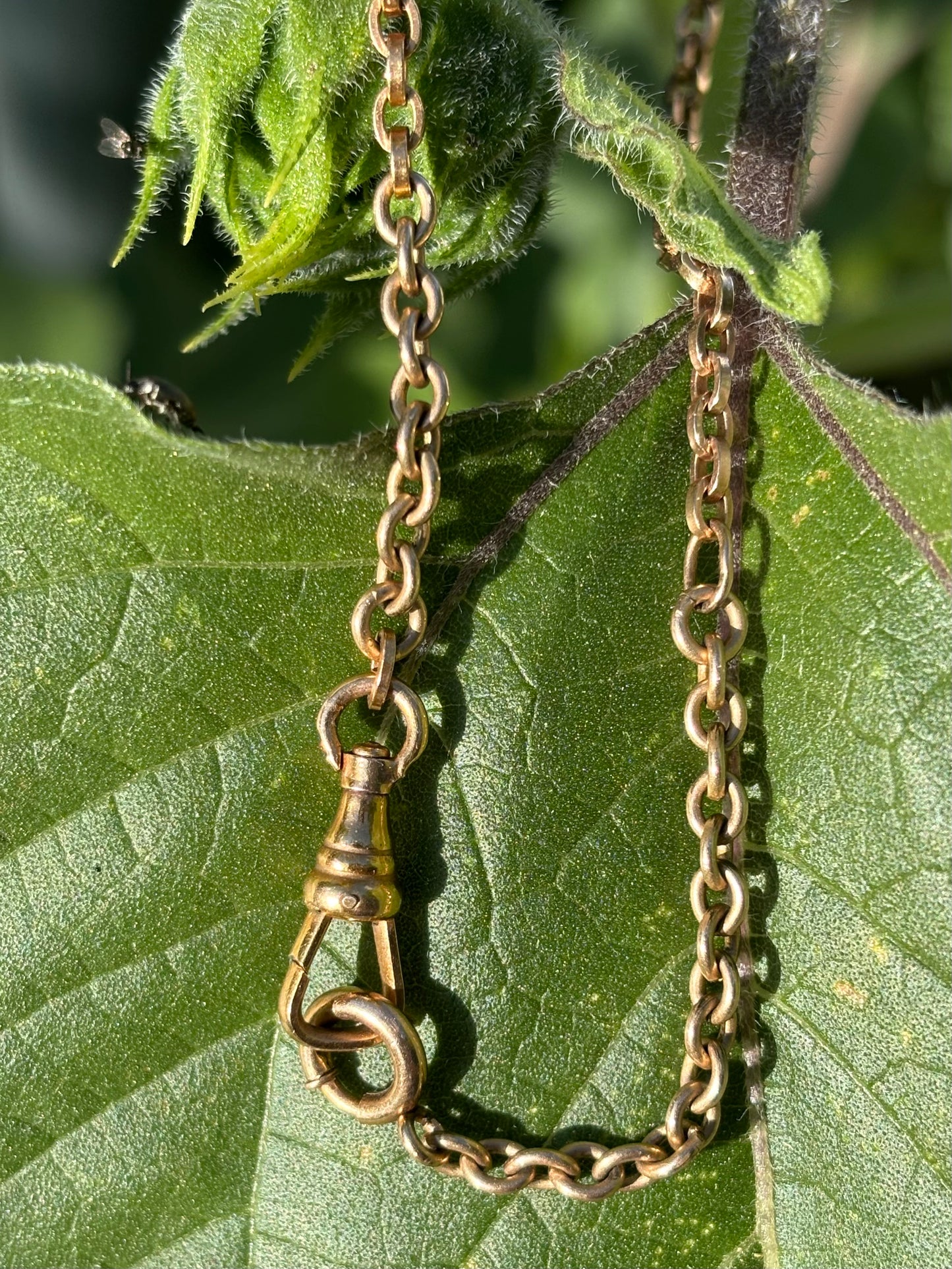 Antique Goldfill Watch Chain