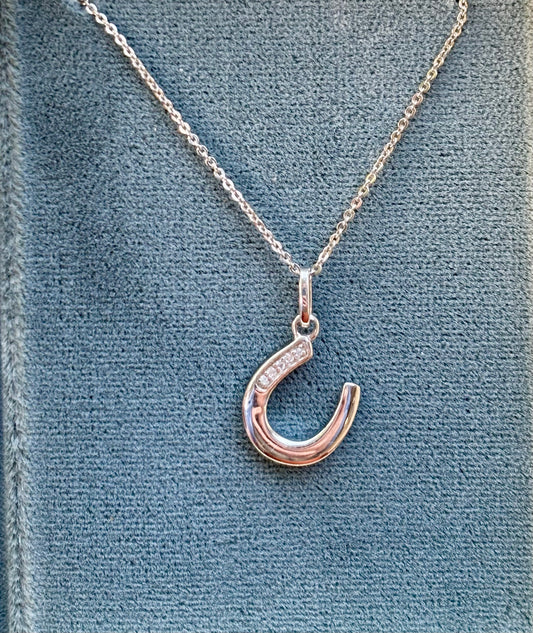 Horseshoe Necklace