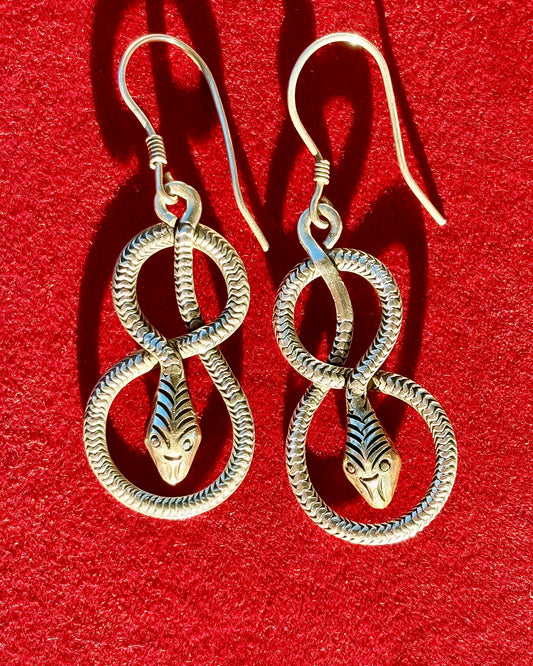 Figure 8 Snakes