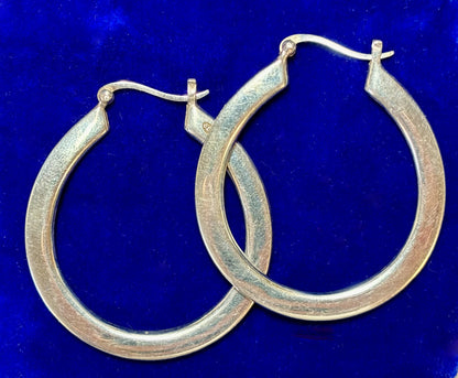 Horseshoe Hoops!