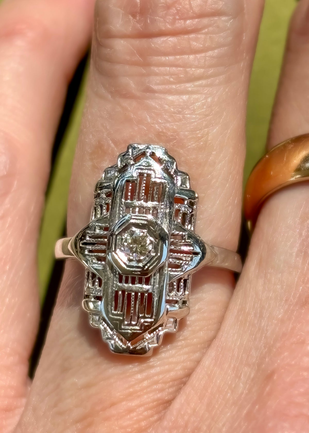 The Sanctuary Ring