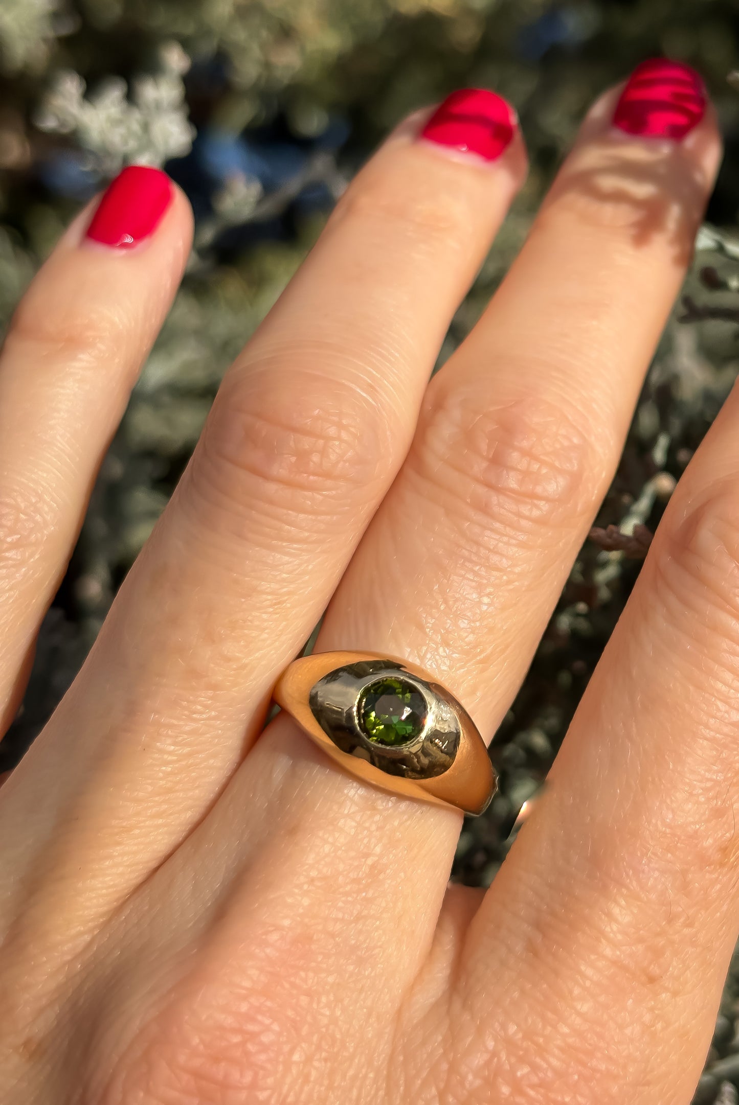 The Nature Lover’s  Ring