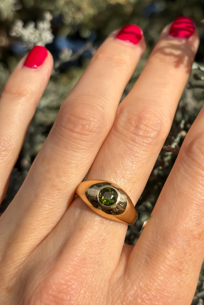 The Nature Lover’s  Ring