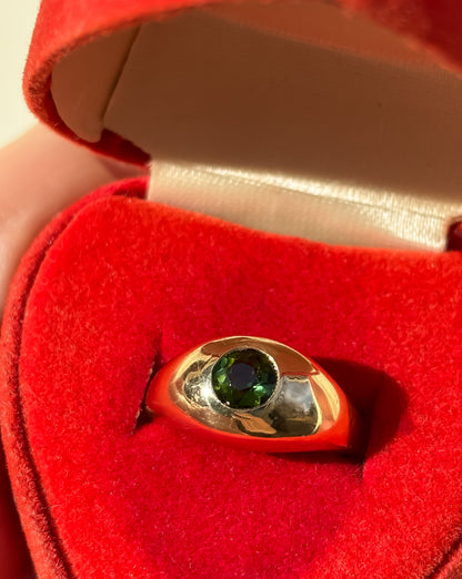 The Nature Lover’s  Ring