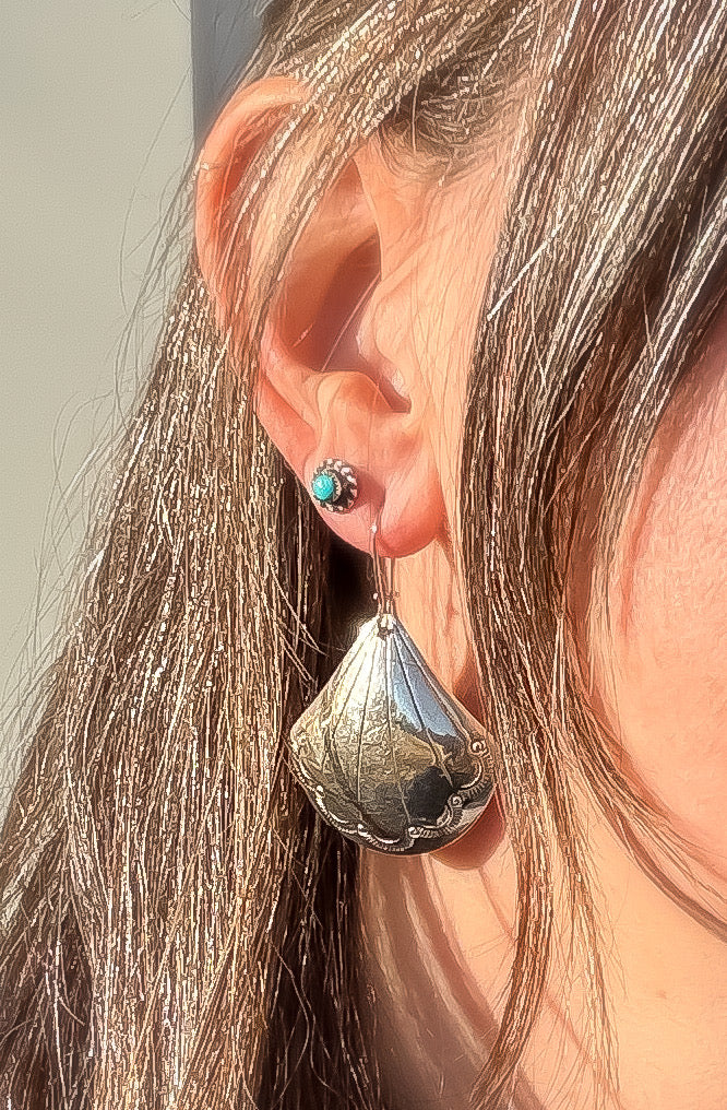 Scalloped Shell Earrings