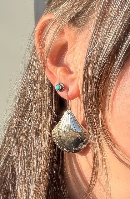 Scalloped Shell Earrings