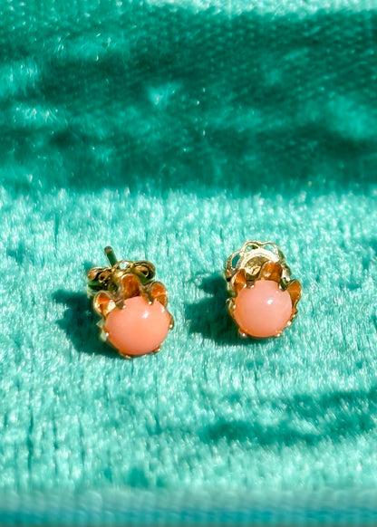Coral Blooms