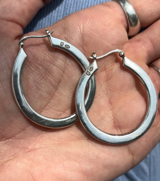 Horseshoe Hoops!