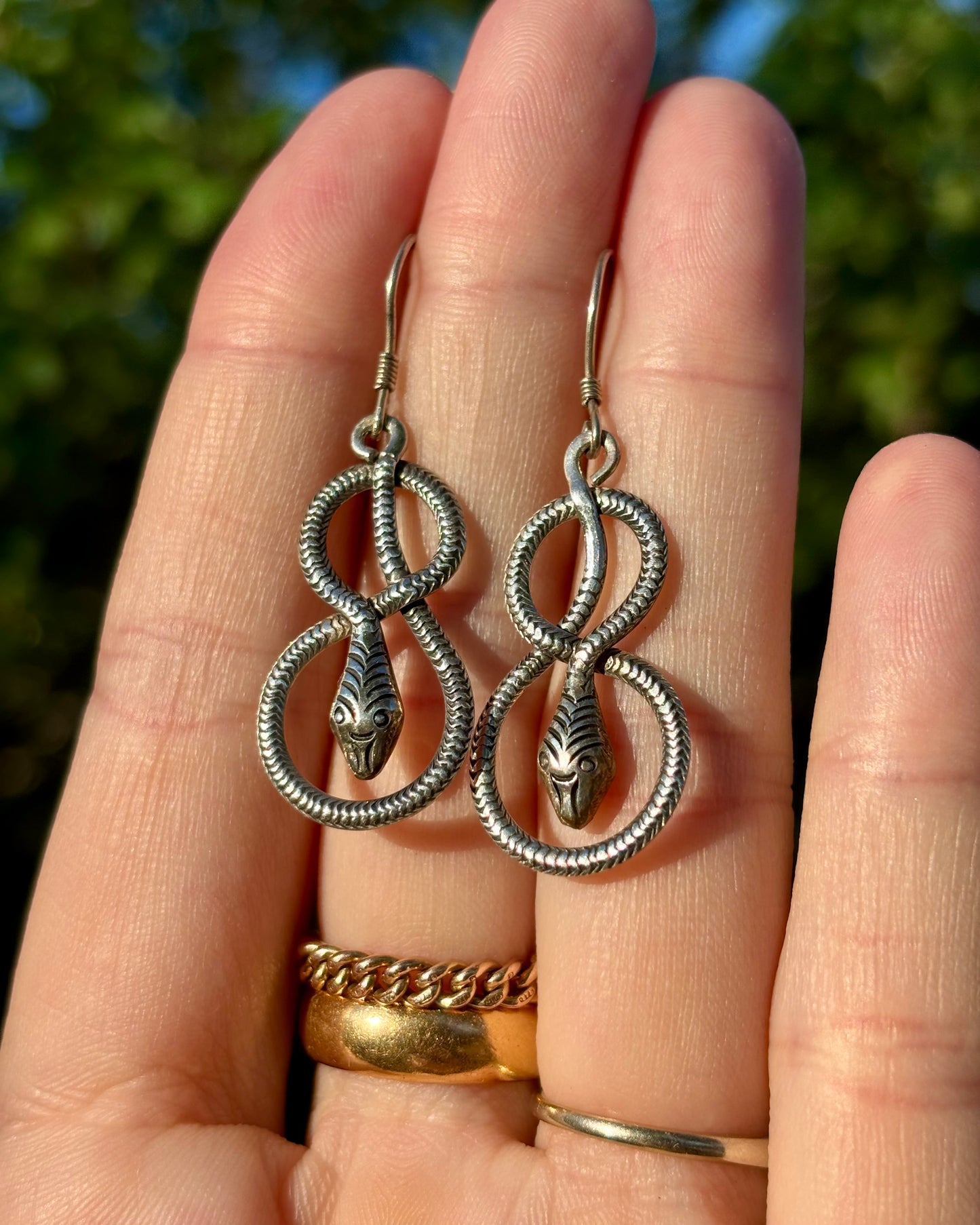 Figure 8 Snakes