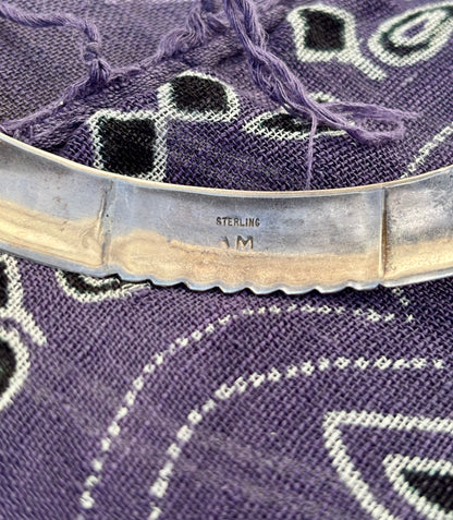 Silver Torque Collar