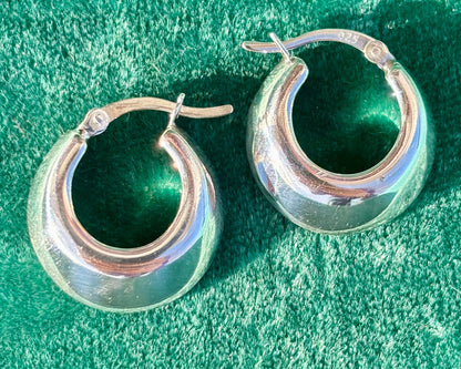 Chubby Horseshoe Hoops
