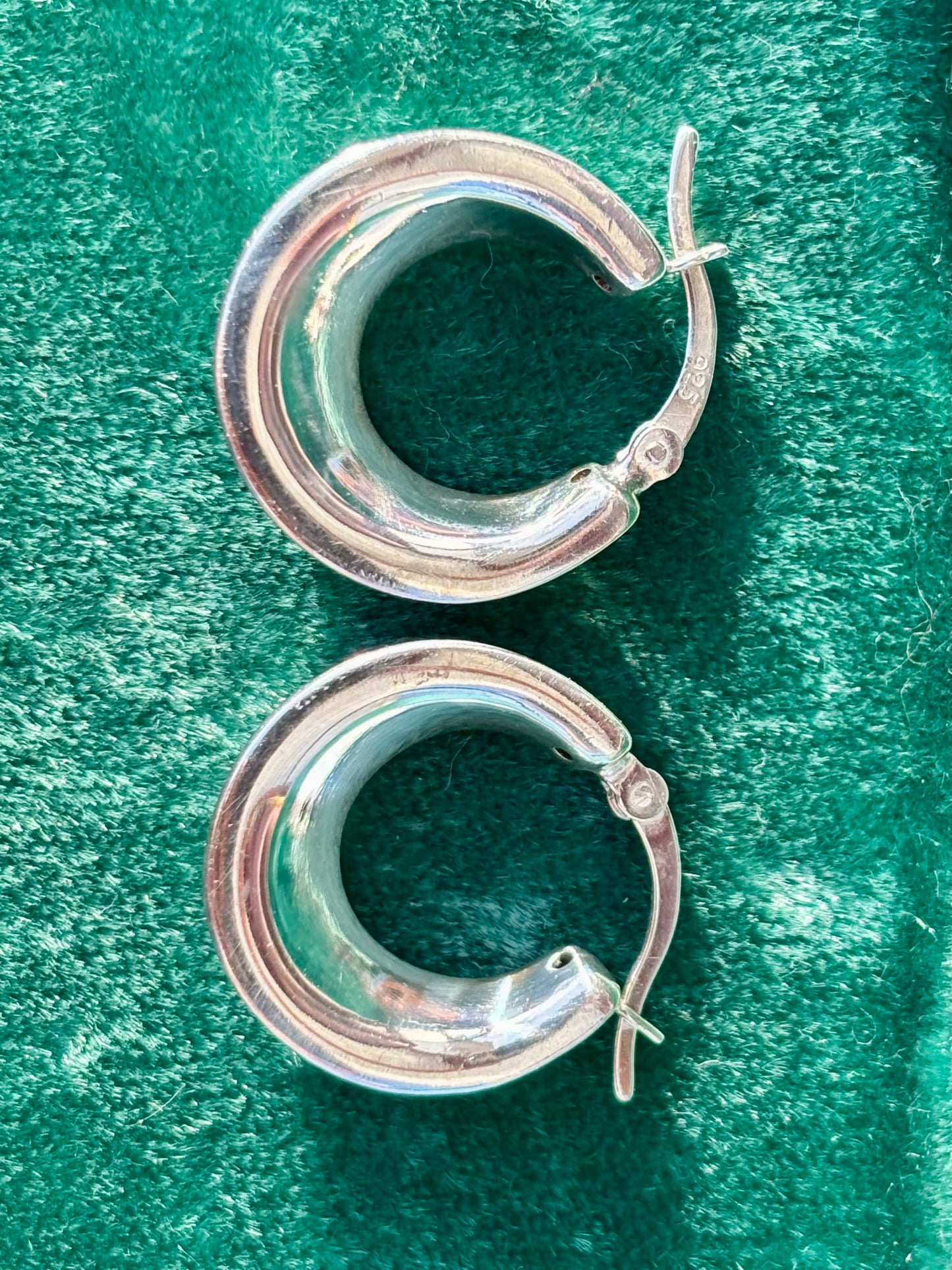Chubby Horseshoe Hoops