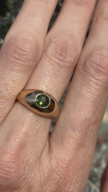 The Nature Lover’s  Ring